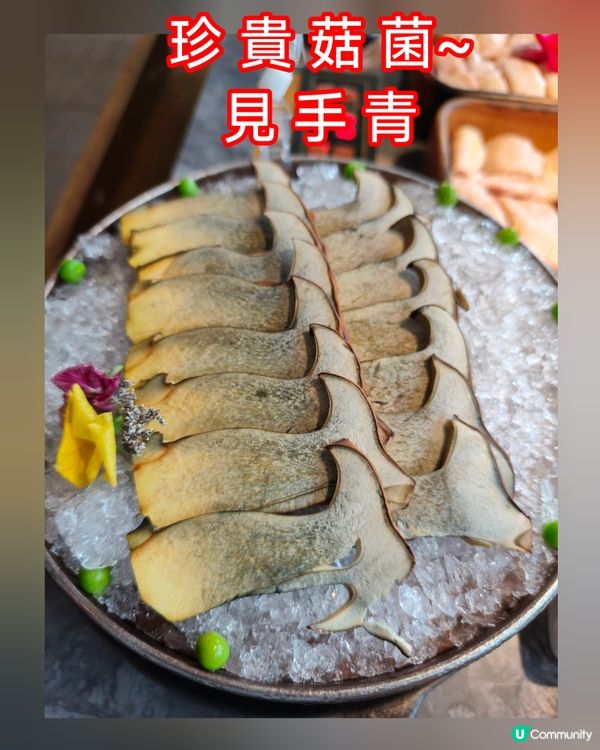 深圳野生菌火鍋🤤！退休都咁識食！😋