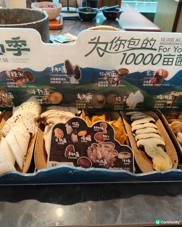 深圳野生菌火鍋🤤！退休都咁識食！😋