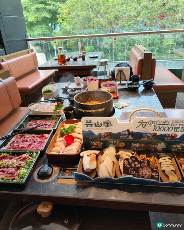 深圳野生菌火鍋🤤！退休都咁識食！😋