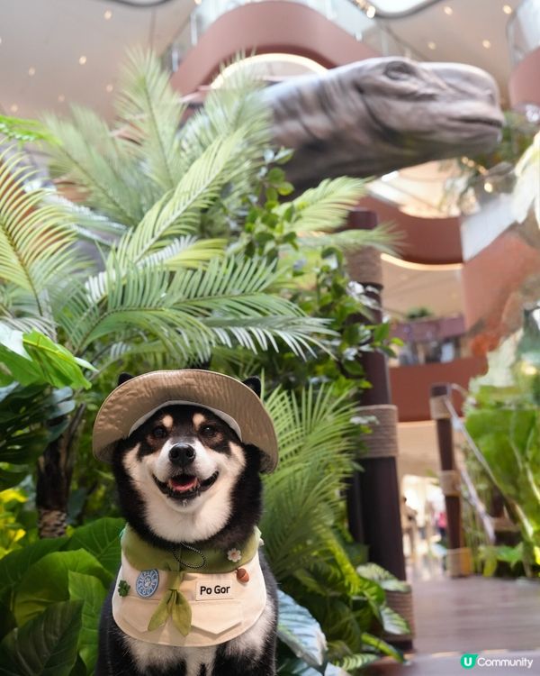 侏羅紀公園探險記！🦖一家大細GO！📸