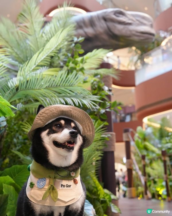 侏羅紀公園探險記！🦖一家大細GO！📸