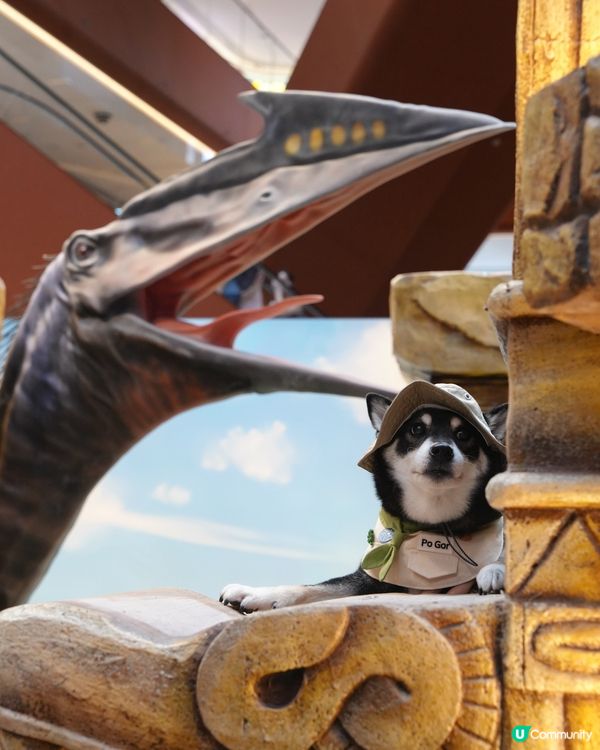 侏羅紀公園探險記！🦖一家大細GO！📸