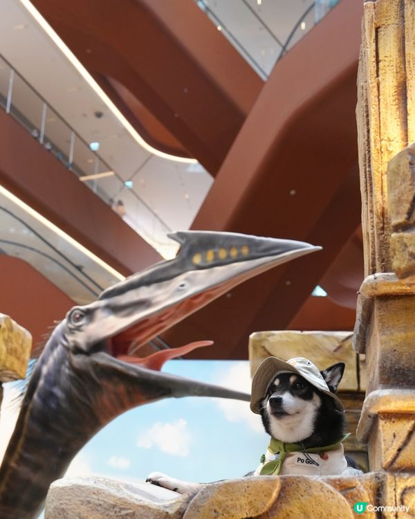 侏羅紀公園探險記！🦖一家大細GO！📸