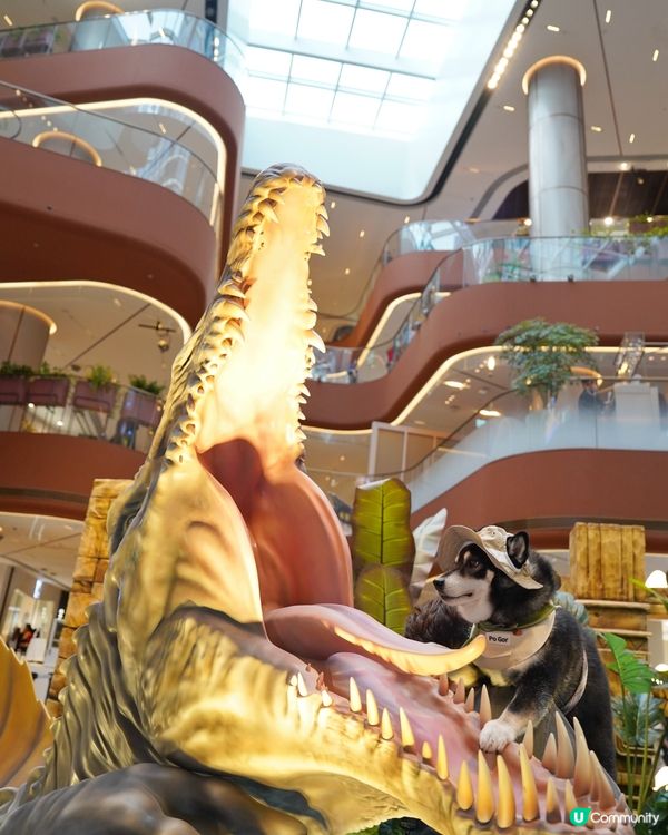 侏羅紀公園探險記！🦖一家大細GO！📸