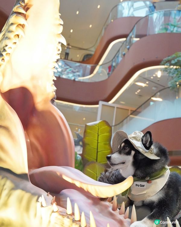 侏羅紀公園探險記！🦖一家大細GO！📸