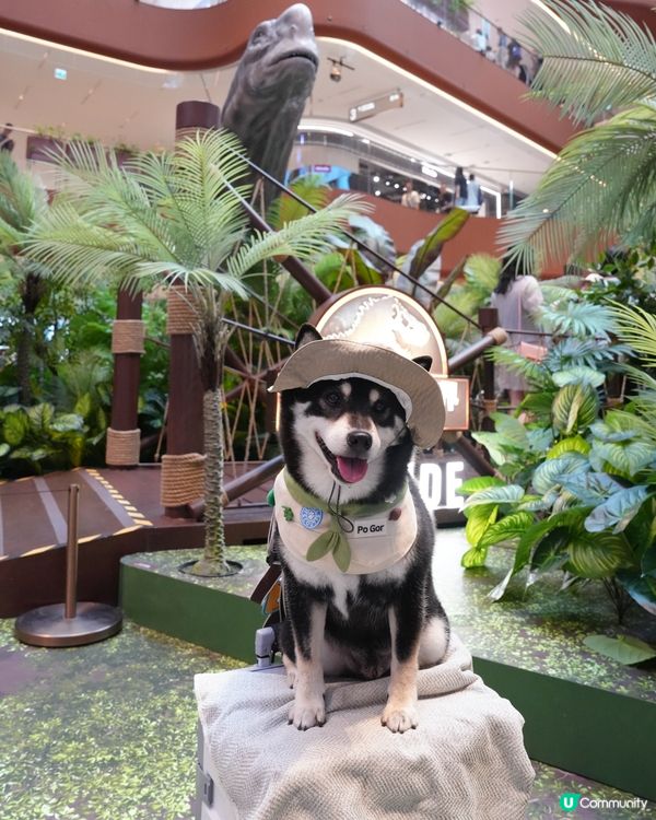 侏羅紀公園探險記！🦖一家大細GO！📸