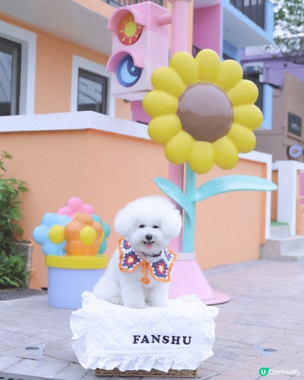 彩虹村落打卡📸！慢活享受七彩人生🌈！