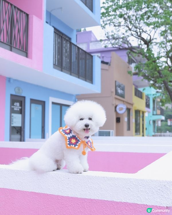 彩虹村落打卡📸！慢活享受七彩人生🌈！