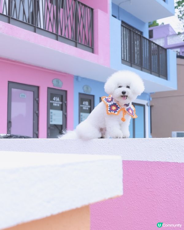 彩虹村落打卡📸！慢活享受七彩人生🌈！