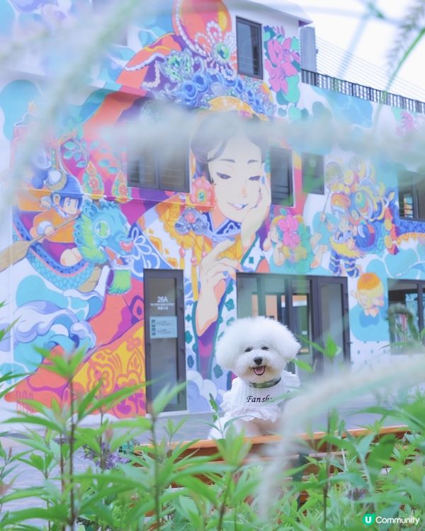 彩虹村落打卡📸！慢活享受七彩人生🌈！