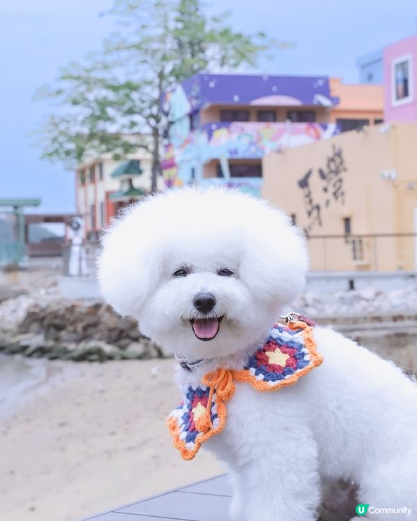 彩虹村落打卡📸！慢活享受七彩人生🌈！