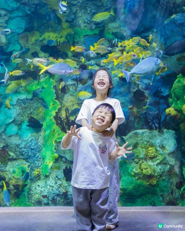 珠海長隆親子遊海洋王國🐳🎢 暑假Go!