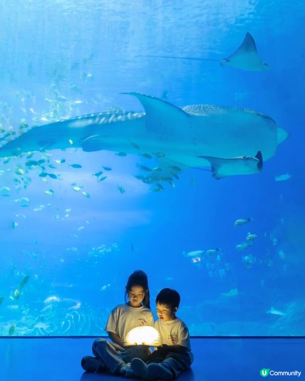 珠海長隆親子遊海洋王國🐳🎢 暑假Go!