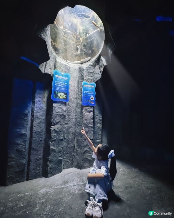 珠海長隆親子遊海洋王國🐳🎢 暑假Go!