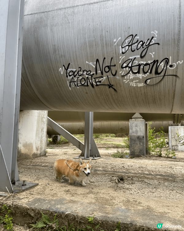 上水東江輸水管，一個十分適合打卡的地方，好多大水管有工業風既...