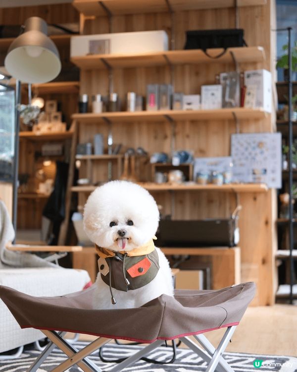 CARRYin AIRSIDE新店正式登場！！！