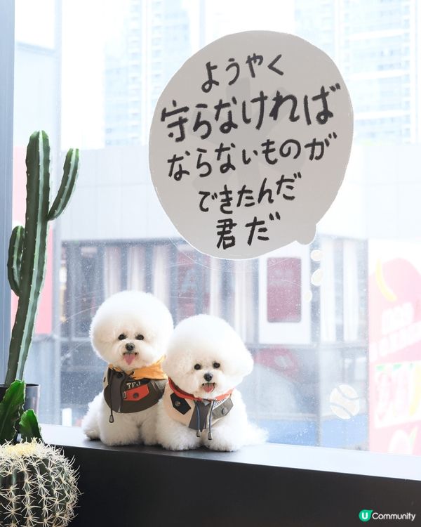 CARRYin AIRSIDE新店正式登場！！！