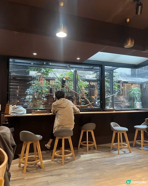 台北肉球森林！🦜🦝餵飽萌寵超療癒！