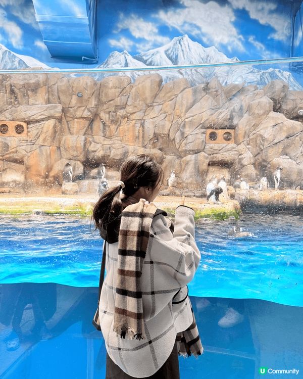 機場維修區海邊！北角海濱！同埋海洋公園探家姐細佬涼冷氣！