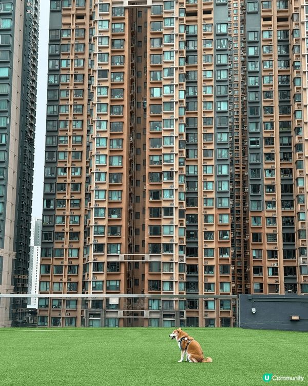 1.荔枝角瓊林街隱世建築大師作品 2.D2 Place隱藏婚...