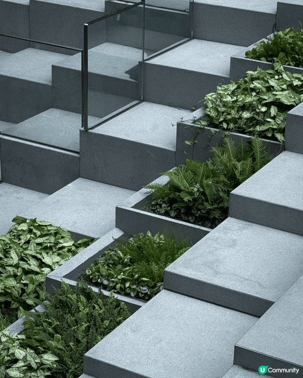 1.荔枝角瓊林街隱世建築大師作品 2.D2 Place隱藏婚...