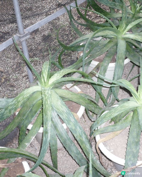 I like to take photo in museum...