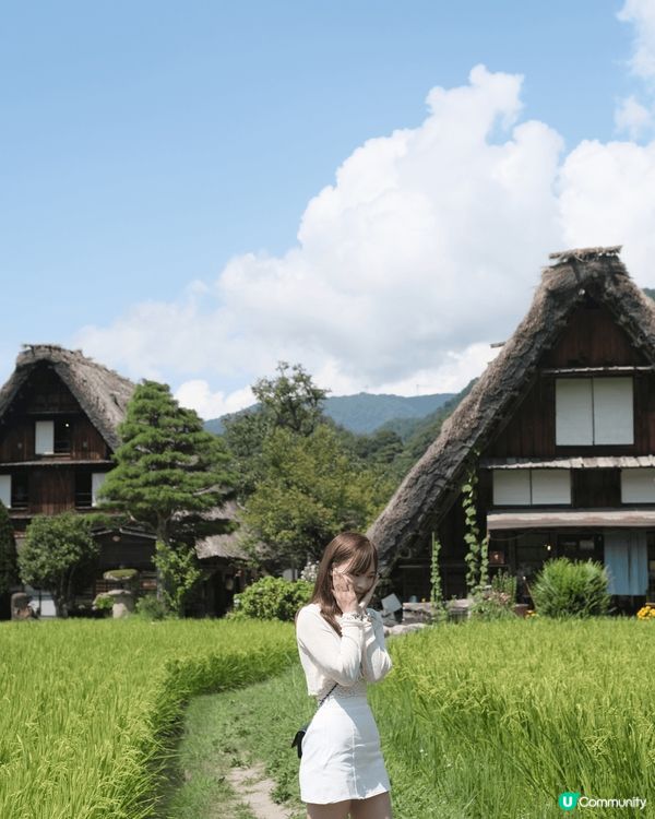 名古屋白川鄉超Chill！合掌造村落像動漫場景，冬天的雪景絕...