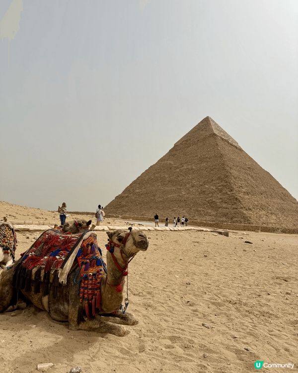 金字塔的建造奇蹟、細思極恐！😱🏗️