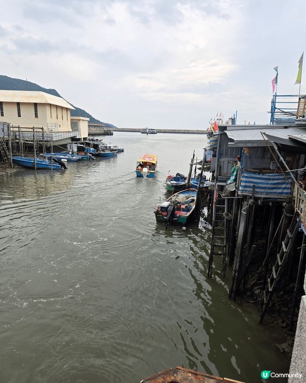 大嶼山天壇大佛香港朝聖必到之處，大澳是香港威尼斯，亦是相當有...