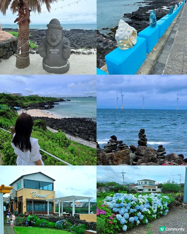濟州涯月咖啡街🌊打卡夏威夷風🌴💜🩷💙