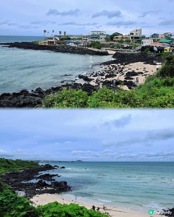 濟州涯月咖啡街🌊打卡夏威夷風🌴💜🩷💙