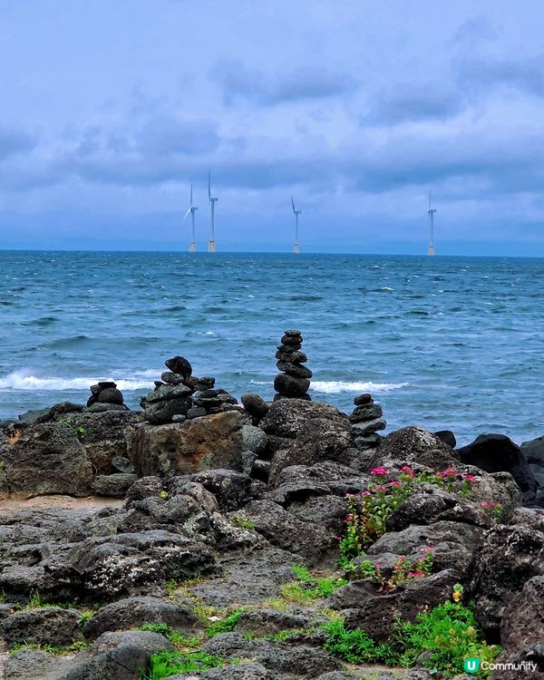 濟州涯月咖啡街🌊打卡夏威夷風🌴💜🩷💙