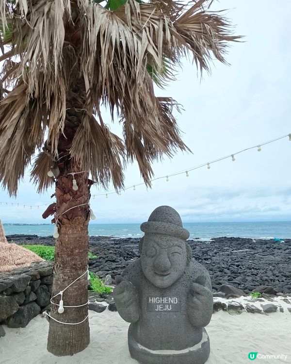 濟州涯月咖啡街🌊打卡夏威夷風🌴💜🩷💙