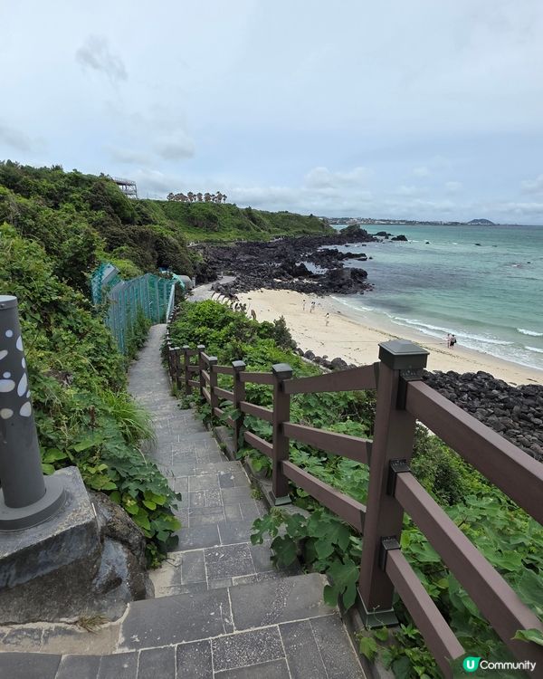 濟州涯月咖啡街🌊打卡夏威夷風🌴💜🩷💙