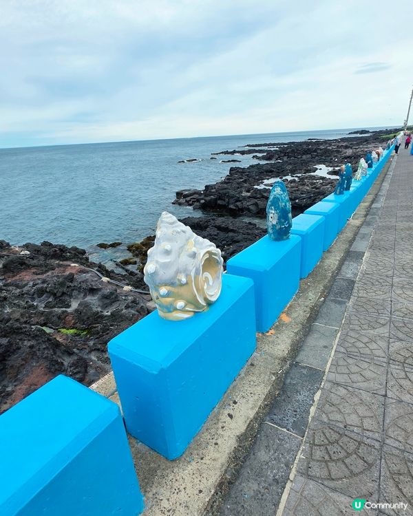 濟州涯月咖啡街🌊打卡夏威夷風🌴💜🩷💙