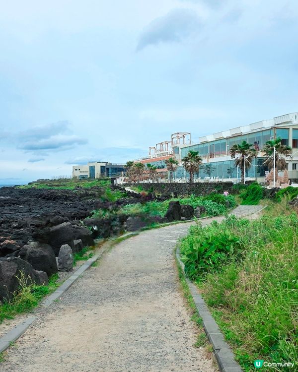 濟州涯月咖啡街🌊打卡夏威夷風🌴💜🩷💙