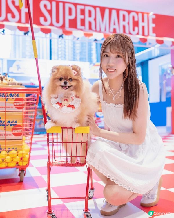 媽媽話帶我米蘇蘇去supermarket 掃貨🛍️，仲話我可...