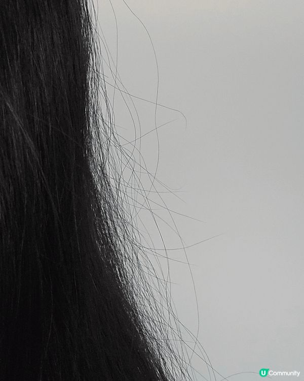 夏天總被頭髮毛燥問題困擾，相信因為天氣潮濕，加上愛用較強潔力...