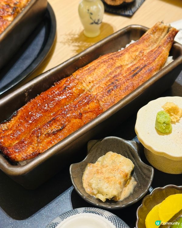 ❤️❤️《銅鑼灣 · 日本過江龍炭燒鰻魚》❤️❤️