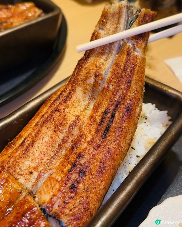 ❤️❤️《銅鑼灣 · 日本過江龍炭燒鰻魚》❤️❤️