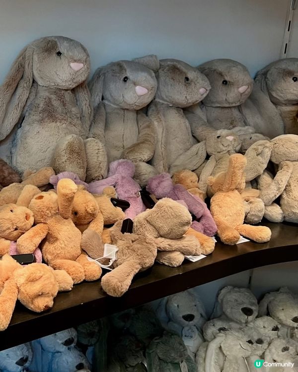 『比利時』比利時都有Jellycat賣！