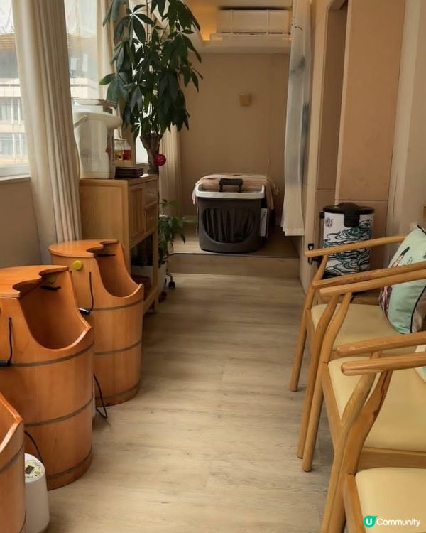 女生養生篇由頭開始