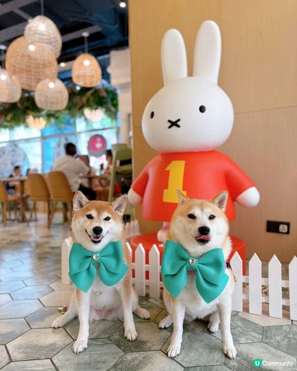 帶毛孩去靚靚田園風cafe🍽️