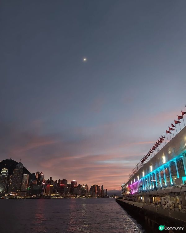 維港夜景打卡好去處