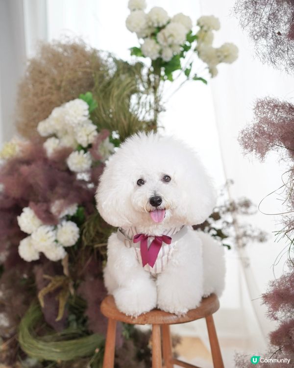 絕美花藝打咭靚景 聯乘高質手工甜品限定店