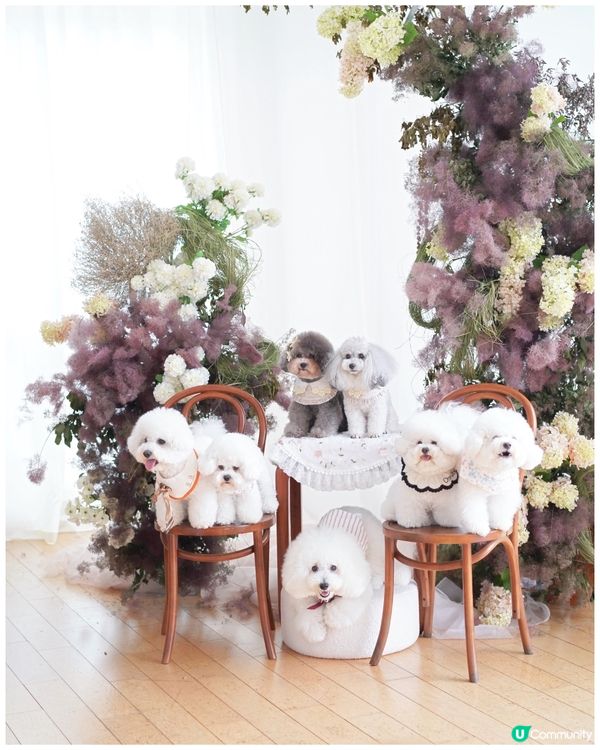 絕美花藝打咭靚景 聯乘高質手工甜品限定店