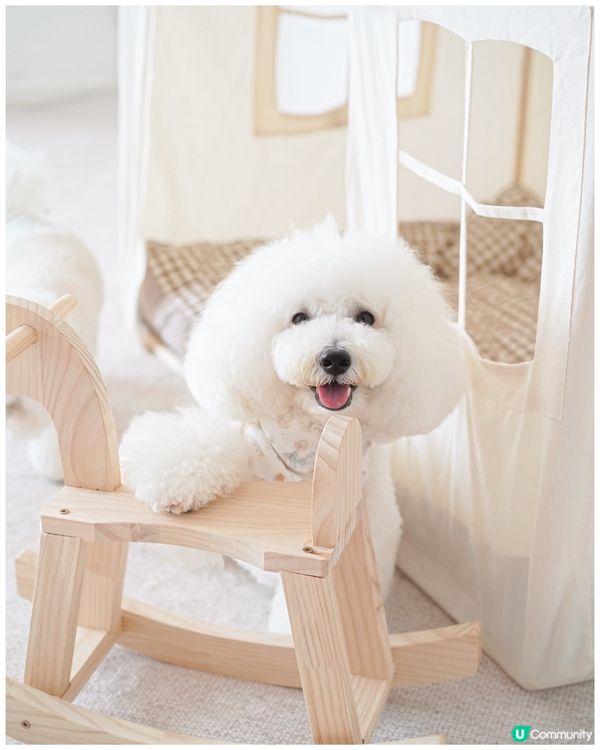 絕美花藝打咭靚景 聯乘高質手工甜品限定店