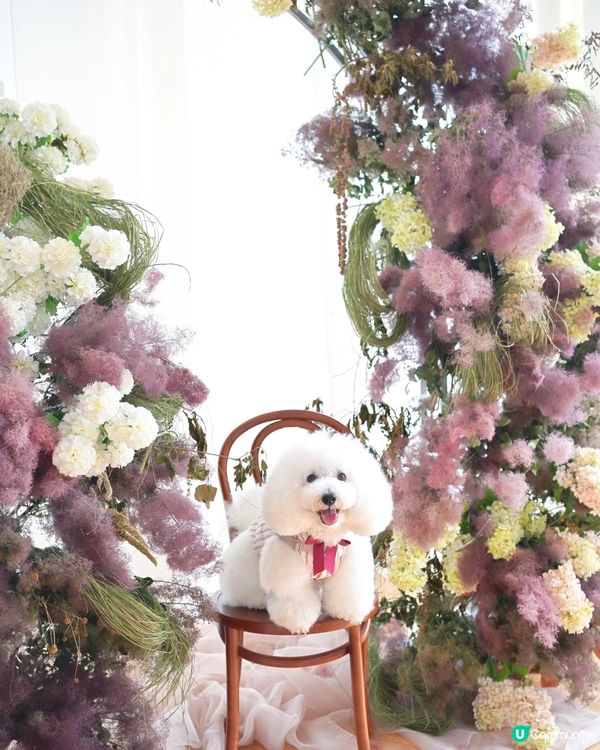 絕美花藝打咭靚景 聯乘高質手工甜品限定店