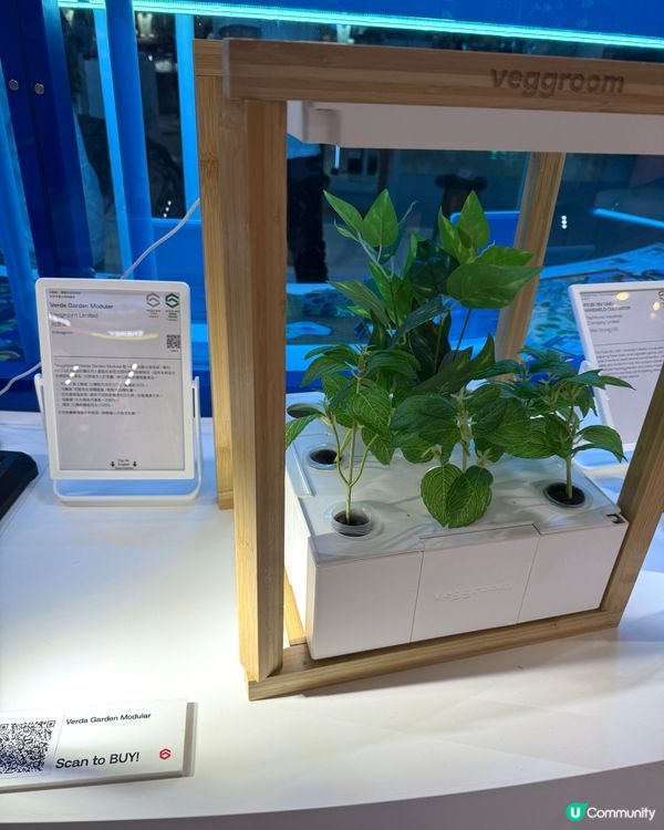 K11 家品展覽 ｢香港智營設計大賞2025｣