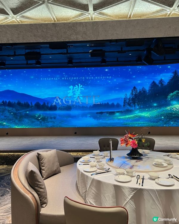 ʚ♡ 高級中菜體驗 • 食物味美服務殷勤 ♡ɞ